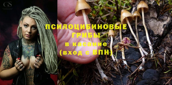 наркотики Богородск