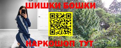 гашик Бийск