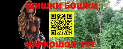 гашик Бийск