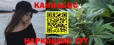 гашик Бийск