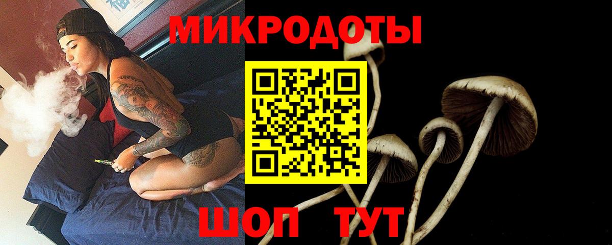 Галлюциногенные грибы мухоморы  Вход с VPN  Видное  Галлюциногенные грибы прущие грибы 